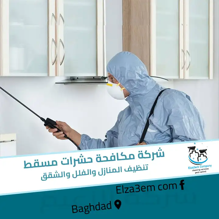 شركة مكافحة حشرات مسقط