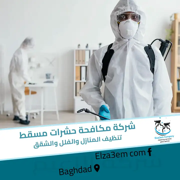 شركة مكافحة حشرات مسقط