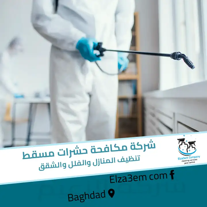 شركة مكافحة حشرات مسقط