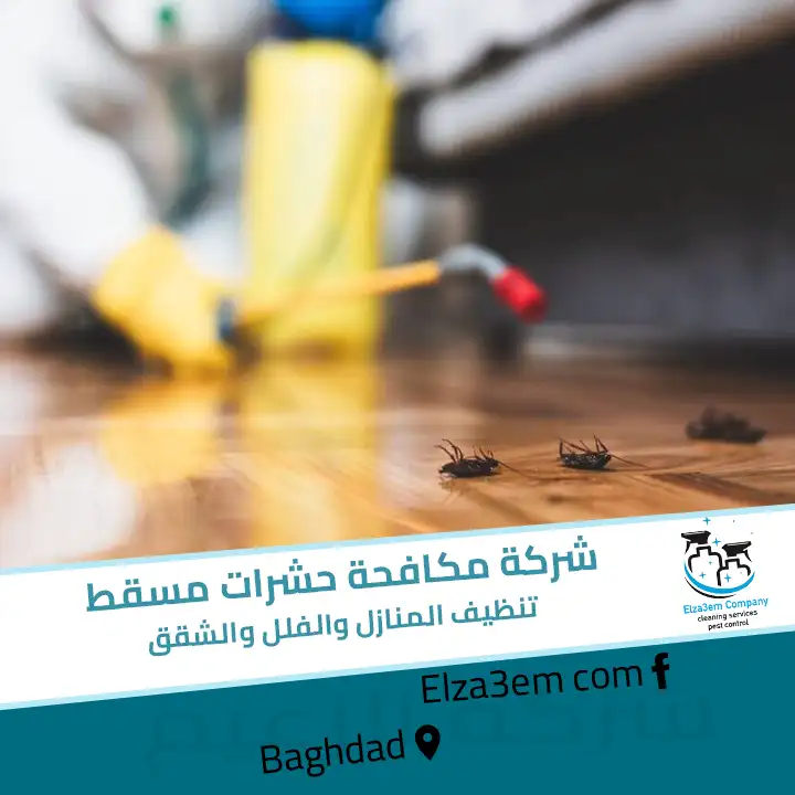 شركة مكافحة حشرات مسقط