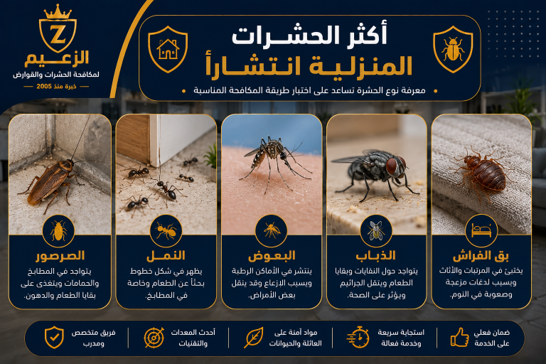 أسباب ظهور الحشرات في المنزل
